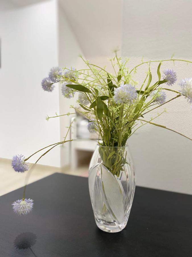 Apartma Azurre Postumia Esterno foto