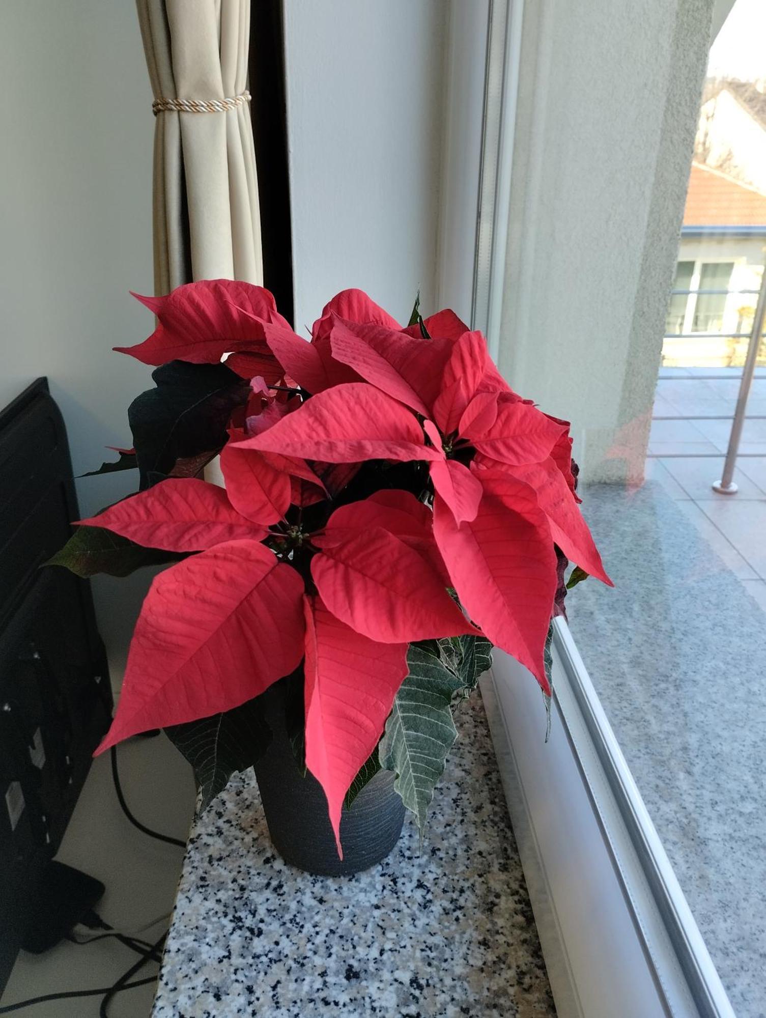Apartma Azurre Postumia Esterno foto